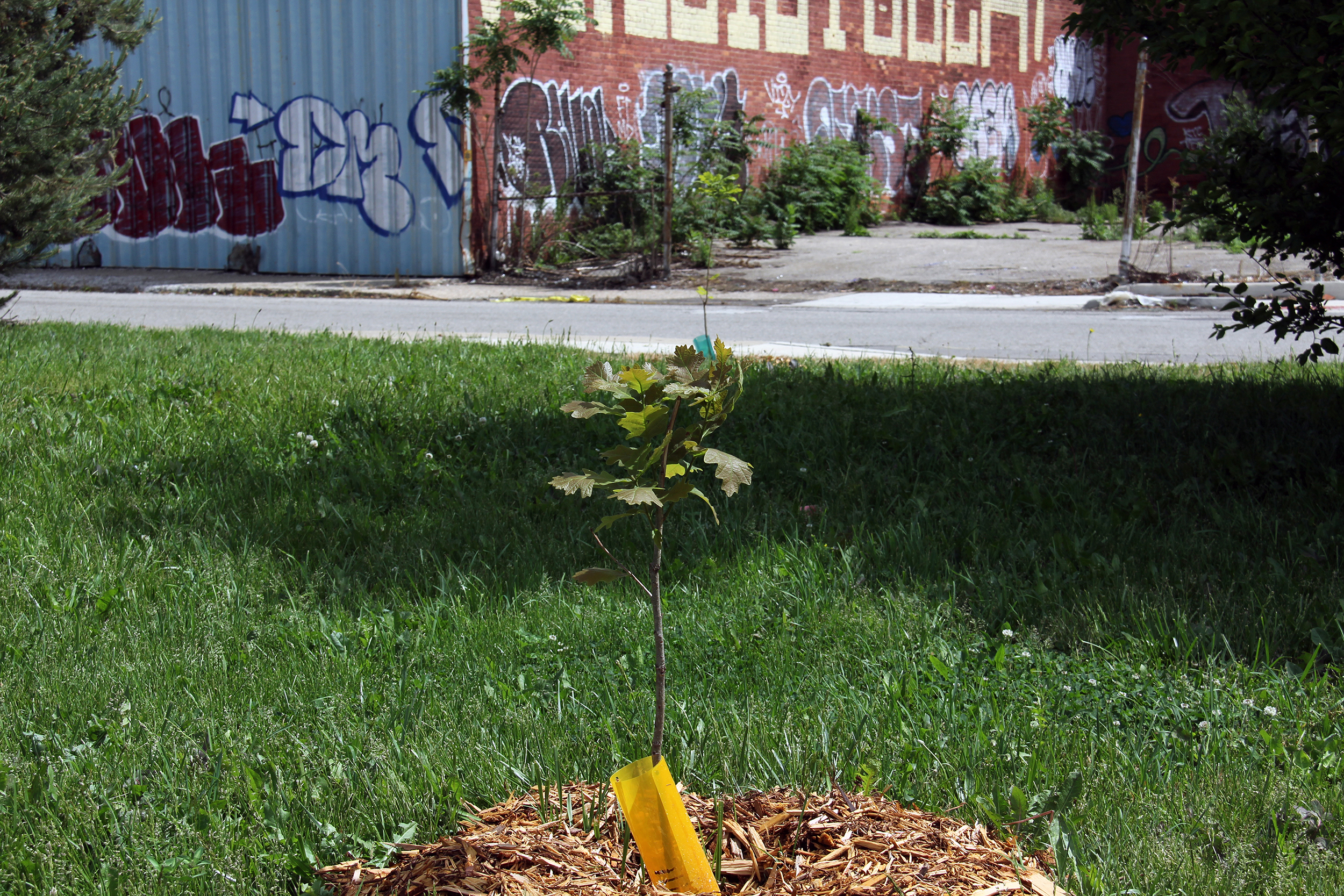 throw stones at glass houses - image 2